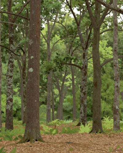 AI-generated illustration of Foloi Oak
