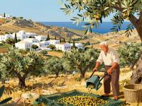 Autumn Harvest in Crete