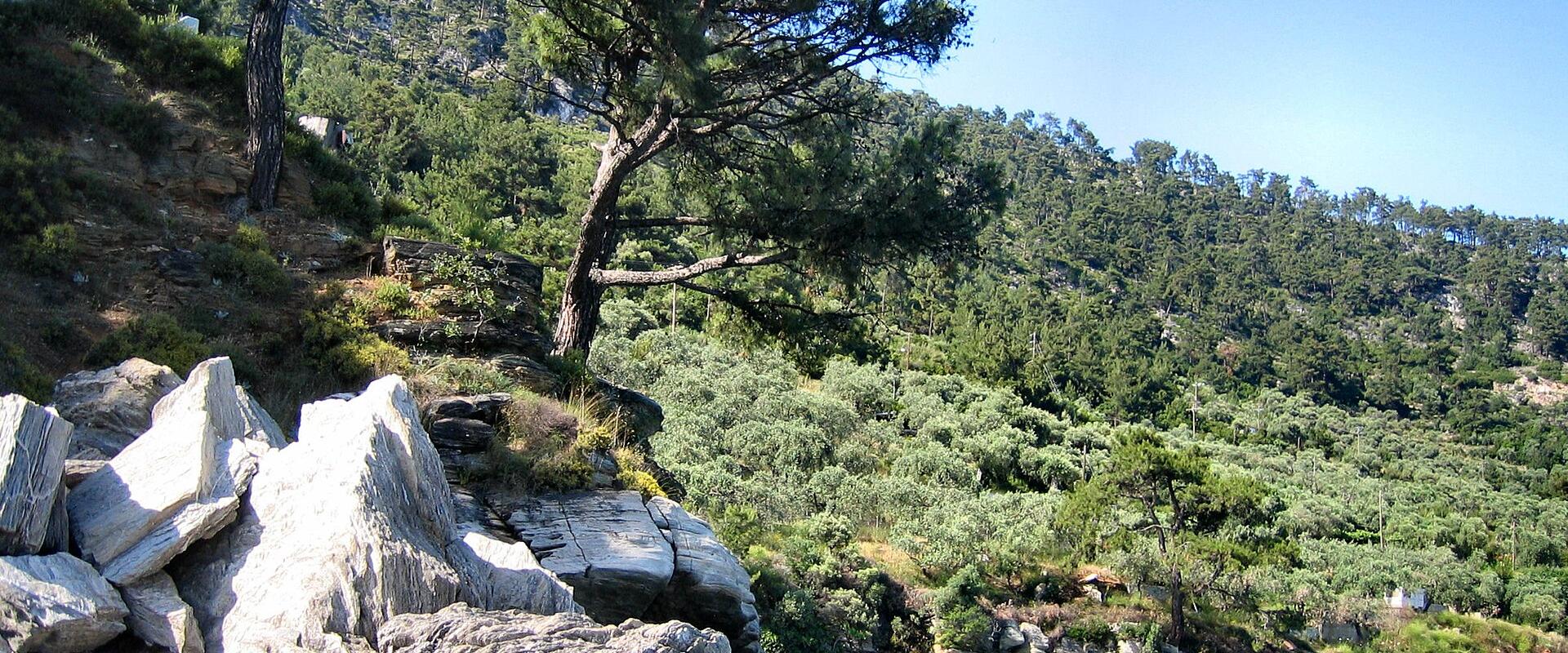 Gulf Of Panagia (Marine Area)