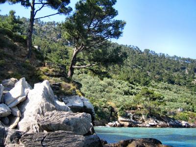 A rocky coastline with large grey boulders in the foreground, pine trees, and a hillside covered in olive groves meeting turquoise water.