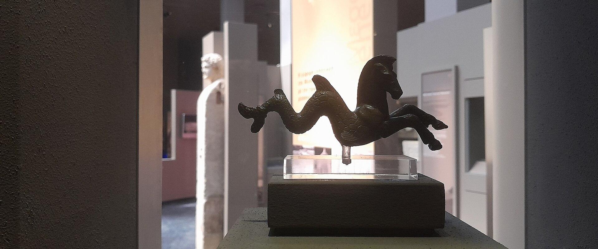 Kalamata Olive Tree Museum