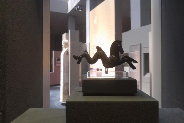 Kalamata Olive Tree Museum