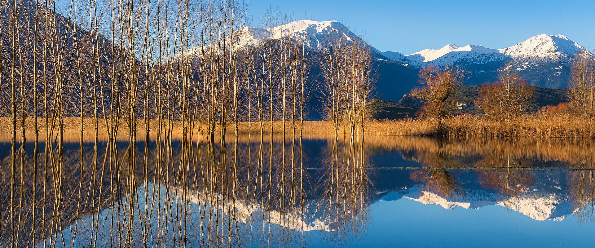 A scenic landscape photograph showing a calm lake with tall, leafless trees in the foreground and snow-capped mountains in the background, with clear reflections in the water.