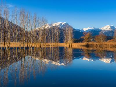 A scenic landscape photograph showing a calm lake with tall, leafless trees in the foreground and snow-capped mountains in the background, with clear reflections in the water.
