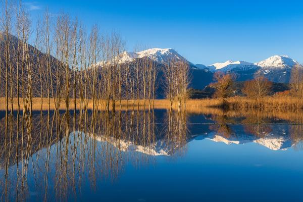 A scenic landscape photograph showing a calm lake with tall, leafless trees in the foreground and snow-capped mountains in the background, with clear reflections in the water.