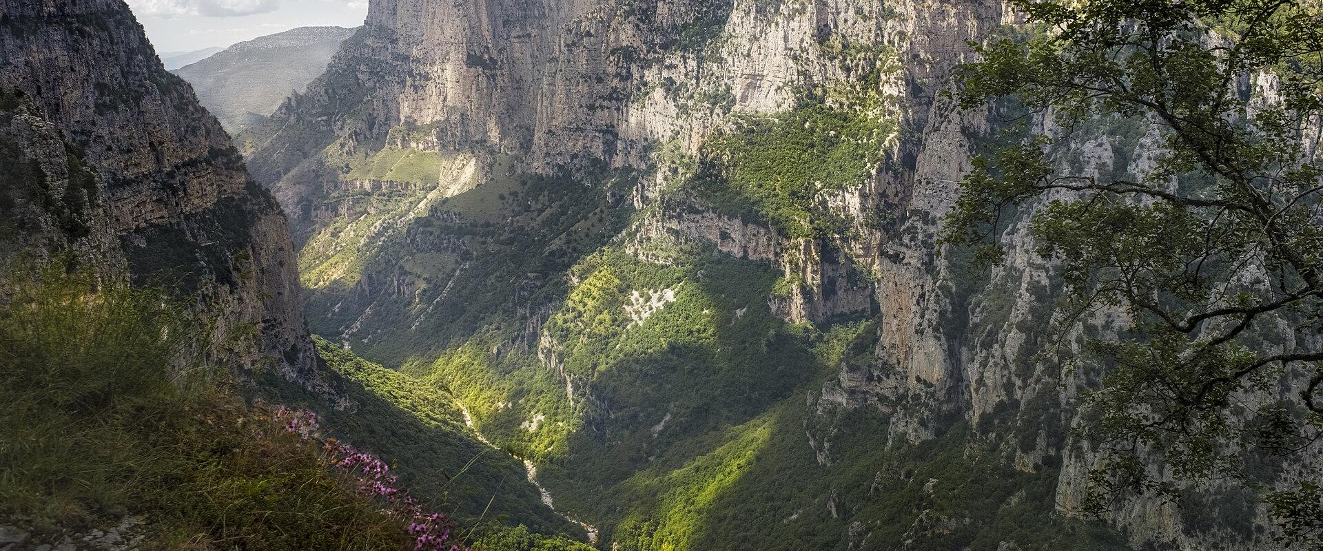 A deep, steep-sided gorge with sheer limestone cliffs, a river at the bottom, and lush green vegetation, viewed from a high vantage point.