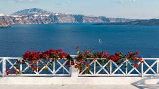 Aegean