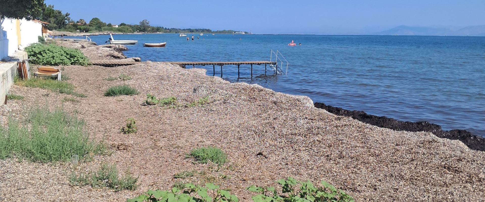 Kavos Beach