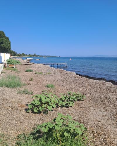 A pebble beach with a wooden pier, small boats, and a white building on the left under a clear blue sky.