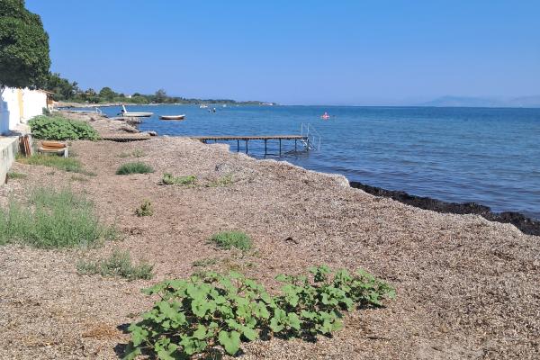 Kavos Beach