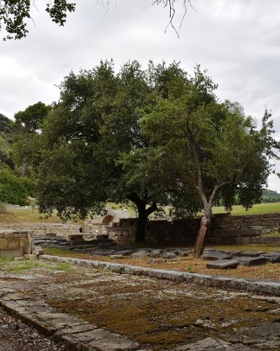 The image shows ancient stone ruins, including a reconstructed Doric column on a base, low stone walls, and a paved path, set within a grassy landscape with trees and a hillside in the background.