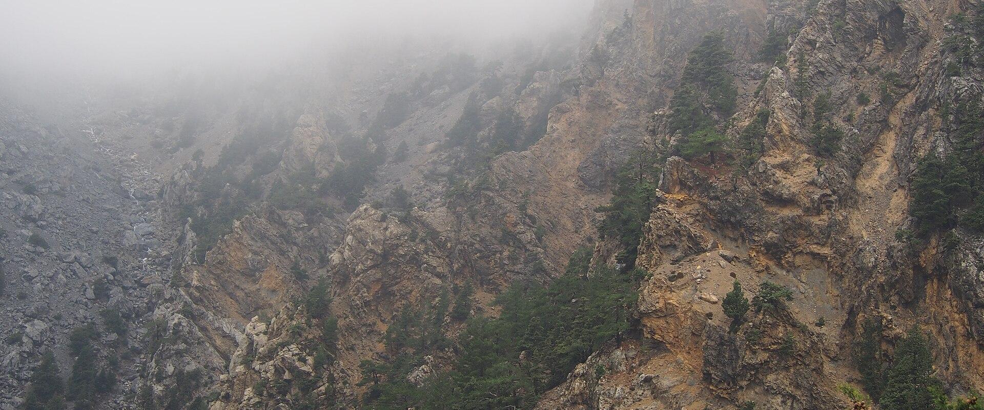 A view of steep, rocky gorge walls with scattered pine trees, partially obscured by heavy fog or low clouds.
