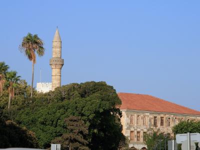 A stone minaret with a conical cap and a large building with a red-tiled roof are visible behind dense green trees and palm trees under a clear blue sky.