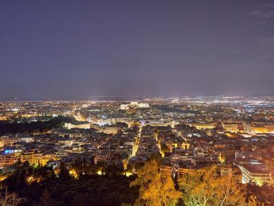 A night-time panoramic photograph of a sprawling city illuminated by streetlights, featuring a prominent, brightly lit ancient citadel on a hill in the middle distance, viewed from an elevated vantage point with trees in the foreground.
