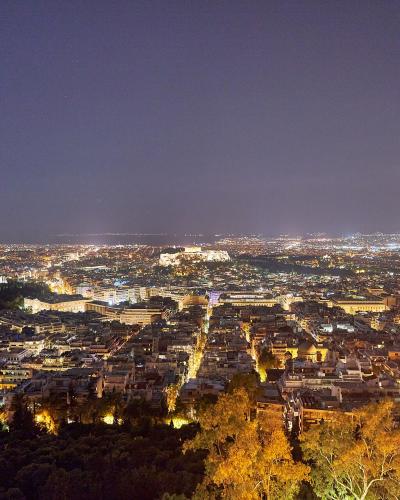 A night-time panoramic photograph of a sprawling city illuminated by streetlights, featuring a prominent, brightly lit ancient citadel on a hill in the middle distance, viewed from an elevated vantage point with trees in the foreground.