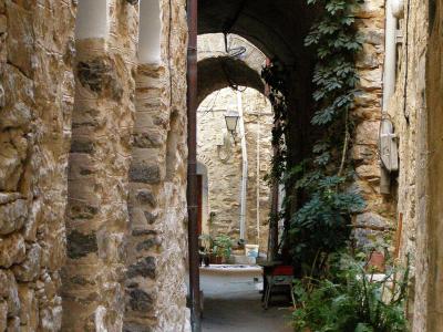 A narrow, stone-paved alleyway in a historic village, featuring rough-hewn stone walls, arched passageways, and potted plants.
