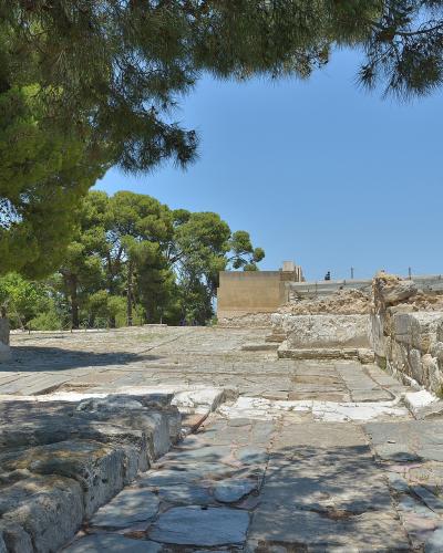 The image shows a stone-paved courtyard surrounded by ancient Minoan-style stone walls and ruins, with pine trees providing shade on the left and a clear blue sky above.