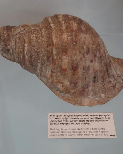 A large conch shell with a hole cut into its tip, displayed on a white surface with a bilingual museum label below it.