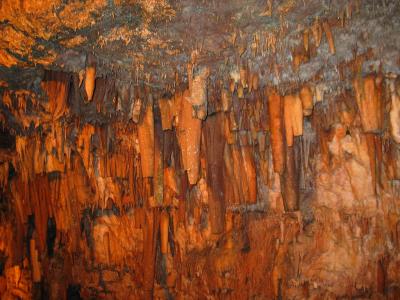 The image shows the interior of a limestone cave featuring numerous stalactites and flowstone formations illuminated by warm, artificial lighting.