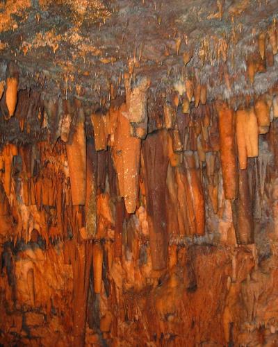 The image shows the interior of a limestone cave featuring numerous stalactites and flowstone formations illuminated by warm, artificial lighting.