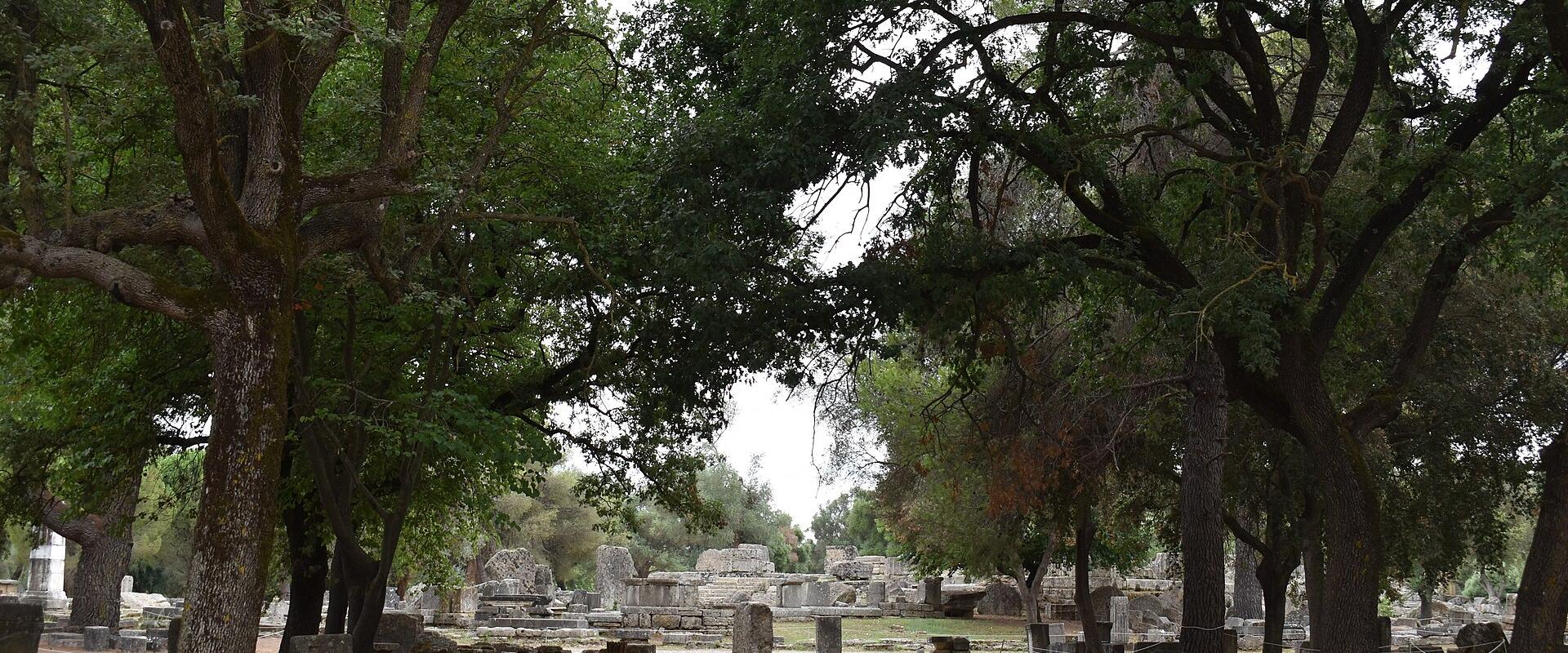 Plane trees shading the archaeological site of Ancient Olympia
