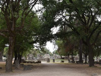 Plane trees shading the archaeological site of Ancient Olympia