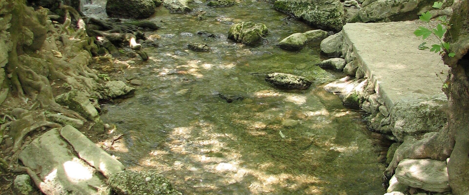 A rocky stream bed with clear water flowing over stones and a small waterfall, surrounded by trees and vegetation, with a concrete slab visible on the right bank.
