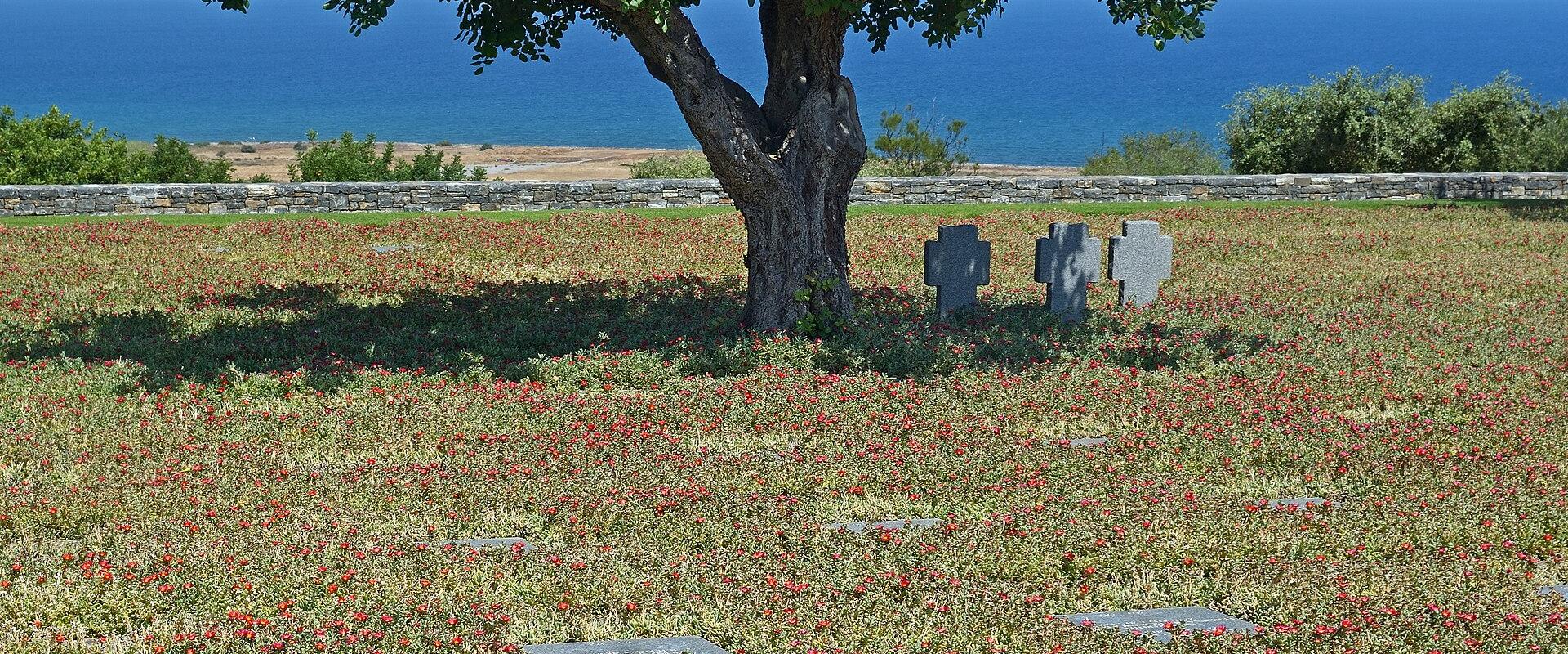 A military cemetery with flat grey headstones and three upright crosses situated on a grassy slope overlooking the sea, featuring a large tree in the center.