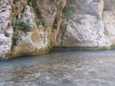 A view of a clear, shallow river flowing at the base of a steep, rocky limestone cliff face with sparse vegetation.