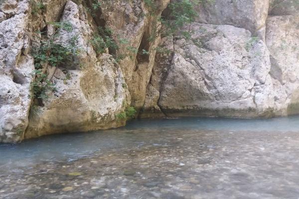 Acheron River Springs