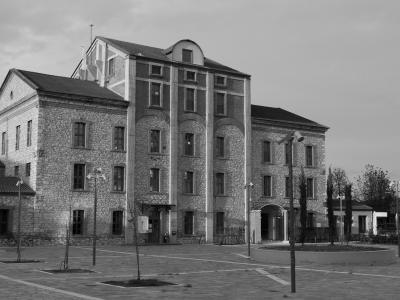 A large, multi-story stone building with a central brick facade section and arched window details, situated in a paved public square with young trees and lampposts.
