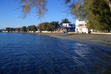 Paros