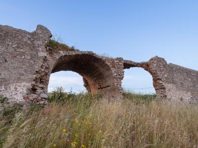 The image shows the stone ruins of an arched structure, likely part of a castle or fortification, set against a blue sky with tall grass and wildflowers in the foreground.