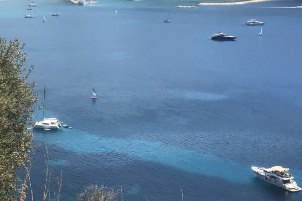 Vasiliki