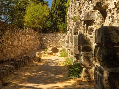 A sunlit view of ancient stone ruins featuring a dirt path, low walls, and large ashlar blocks, with trees in the background.