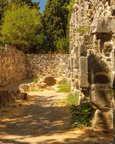 A sunlit view of ancient stone ruins featuring a dirt path, low walls, and large ashlar blocks, with trees in the background.