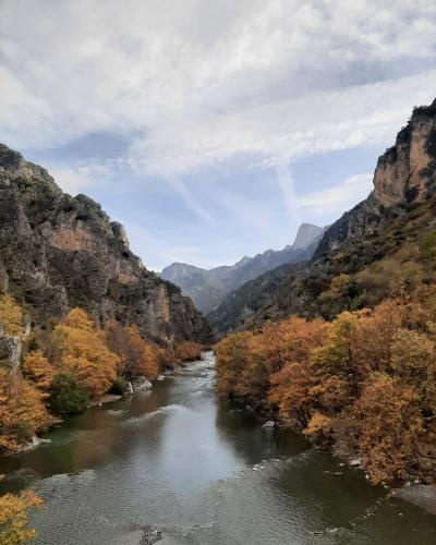 The Aoös river flowing between autumn-coloured forested cliffs, seen from the Konitsa bridge