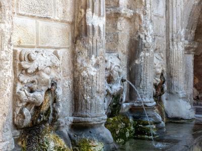 A close-up view of the lower section of a historic stone fountain featuring fluted columns and sculpted lion heads spouting water into a moss-covered basin.