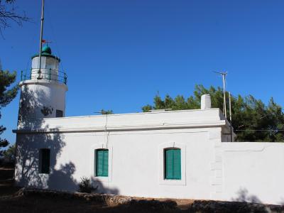 A white lighthouse with a green lantern room and green shutters on an attached building, set against a clear blue sky with pine trees.
