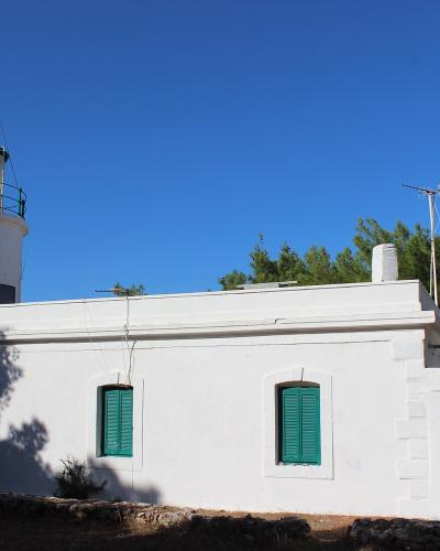 A white lighthouse with a green lantern room and green shutters on an attached building, set against a clear blue sky with pine trees.
