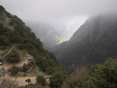 A misty, high-angle view of a deep, steep-sided gorge with a wooden walkway and viewing platform on the left slope, surrounded by pine trees and rugged cliffs.