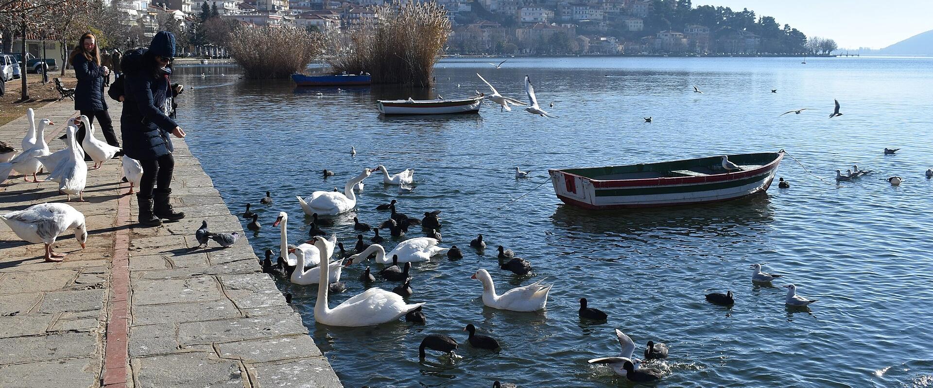 Kastoria