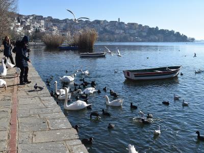 Kastoria