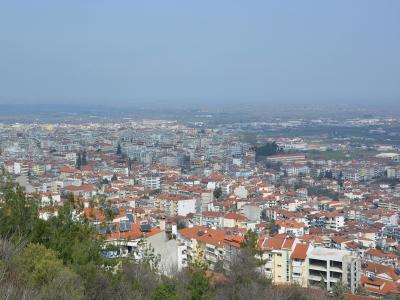 Veria