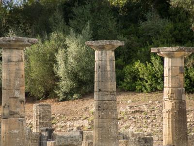 Three standing Doric columns with distinctive convex echinus capitals and a background of olive trees and ruins at an archaeological site.