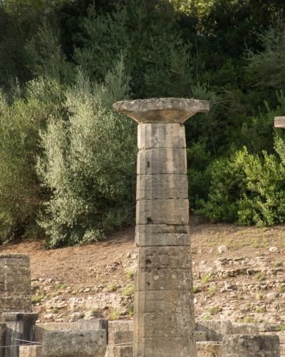 Three standing Doric columns with distinctive convex echinus capitals and a background of olive trees and ruins at an archaeological site.