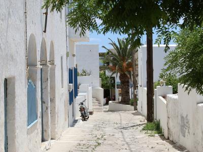 A narrow, paved street in a traditional white-washed village with blue shutters, a parked scooter, and a palm tree.