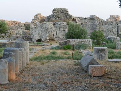 The image shows a close-up view of ancient stone ruins, specifically the bases of columns and low stone walls, with dry grass and a few small bushes growing in the foreground and among the stones.