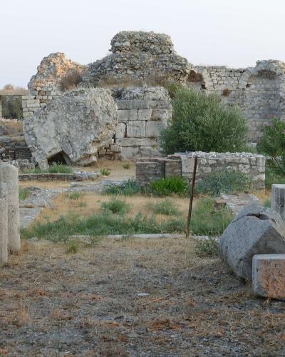 The image shows a close-up view of ancient stone ruins, specifically the bases of columns and low stone walls, with dry grass and a few small bushes growing in the foreground and among the stones.