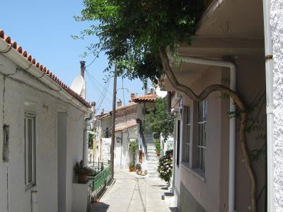 A narrow, paved pedestrian alleyway in a village with whitewashed buildings, terracotta roof tiles, and lush greenery including a large vine growing over a balcony on the right.